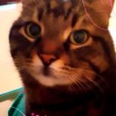 yesim adlı kullanıcı