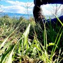 Harun_t adlı kullanıcı