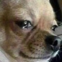 Nisanurr adlı kullanıcı